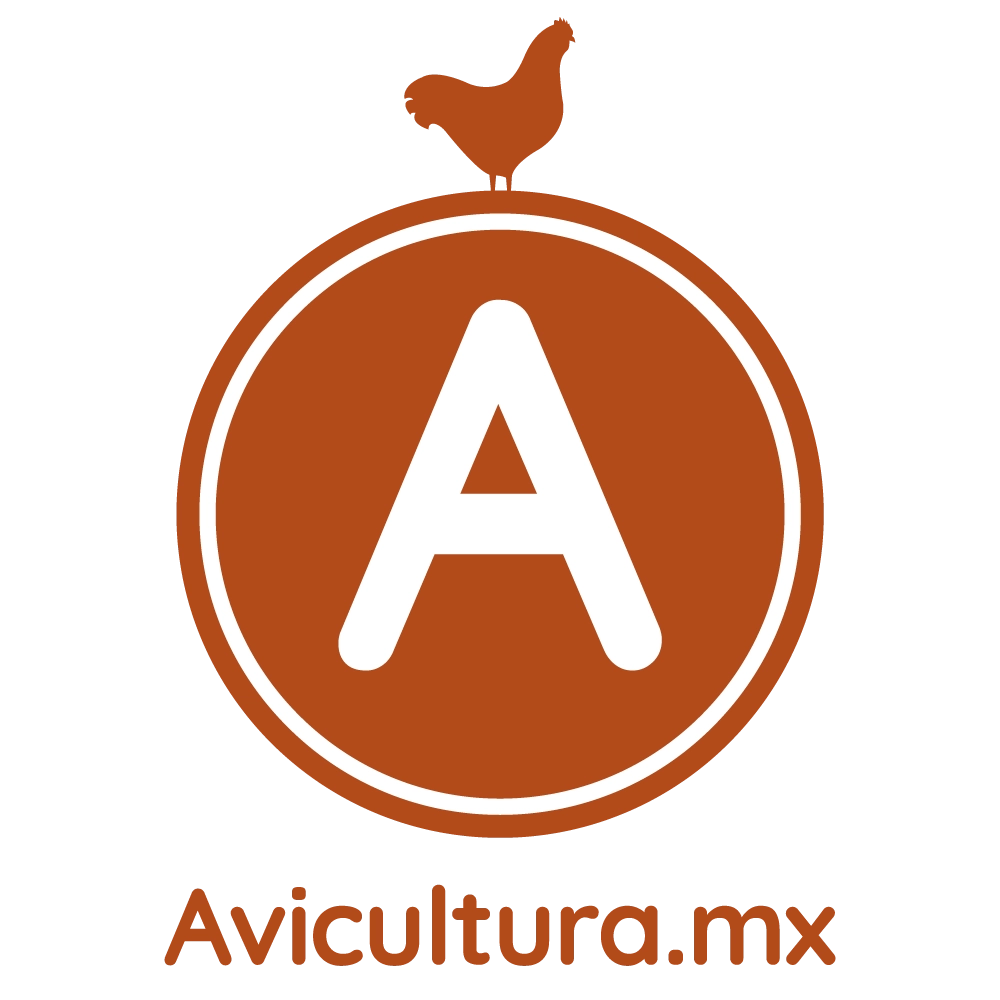 logo-avi