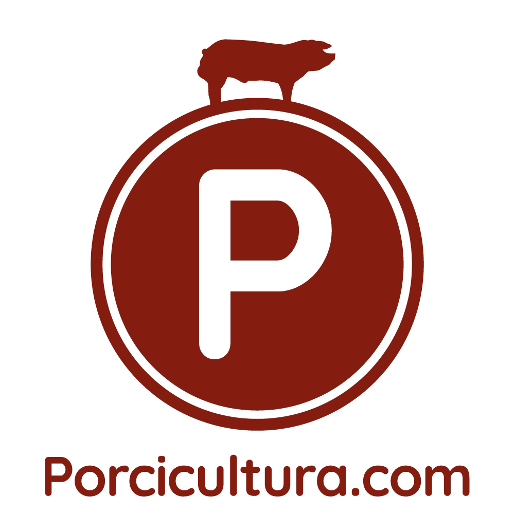 logo-proci